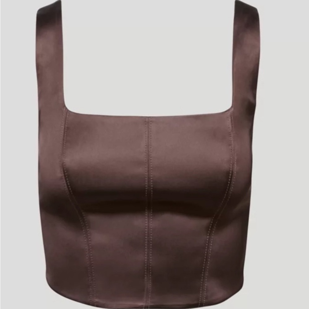 Aritzia || Ten by Babaton Elevate Bustier Satin Corset Rich Mocha Brown Medium